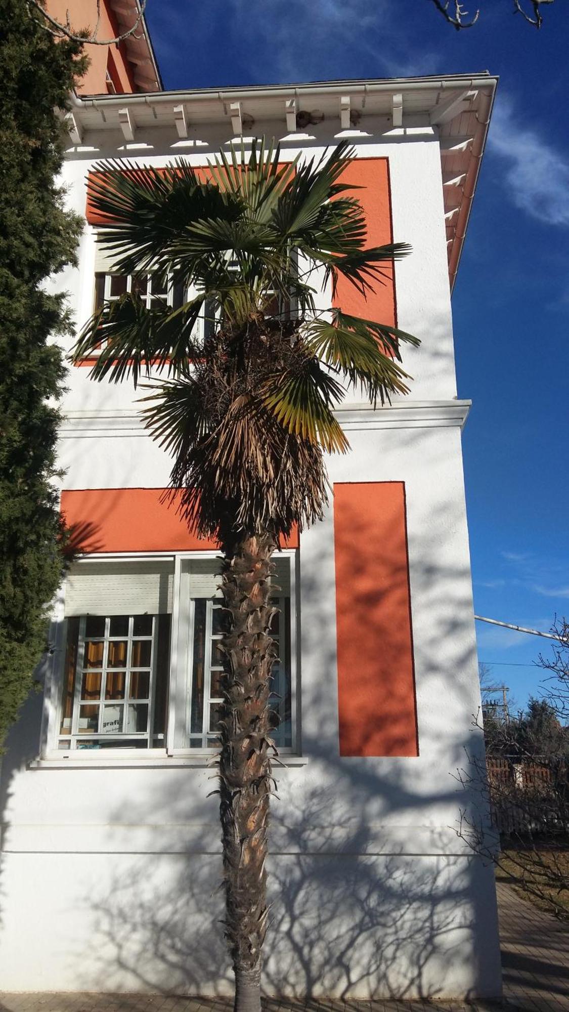 Вилла La Casa Grande De Gormaz Кинтанас-де-Гормас Экстерьер фото